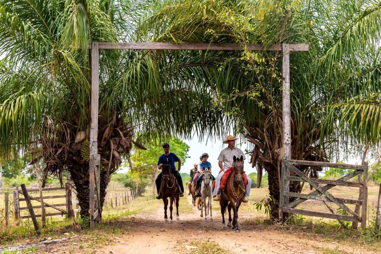 Pousada Fazenda Xaraes Hotell Todos os Santos Exteriör bild