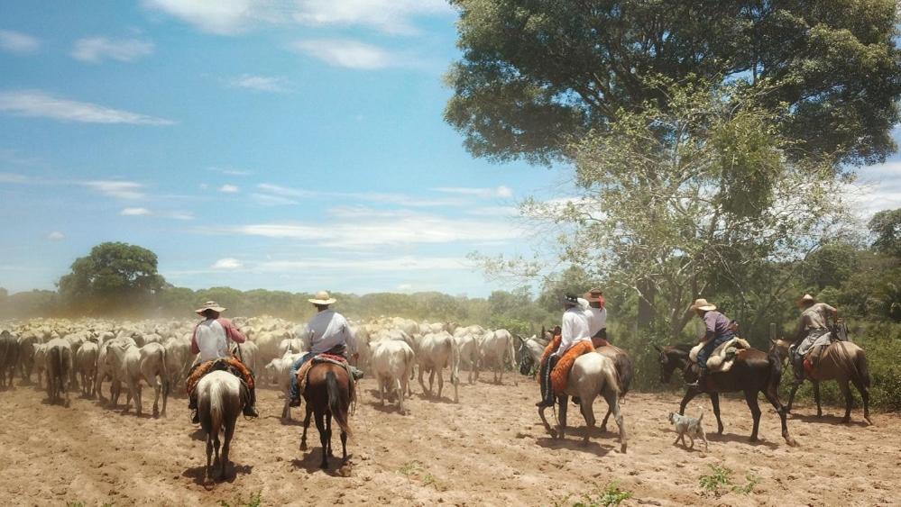 Pousada Fazenda Xaraes Todos os Santos Exteriör bild