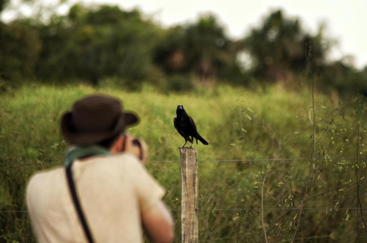 Pousada Fazenda Xaraes Todos os Santos Exteriör bild