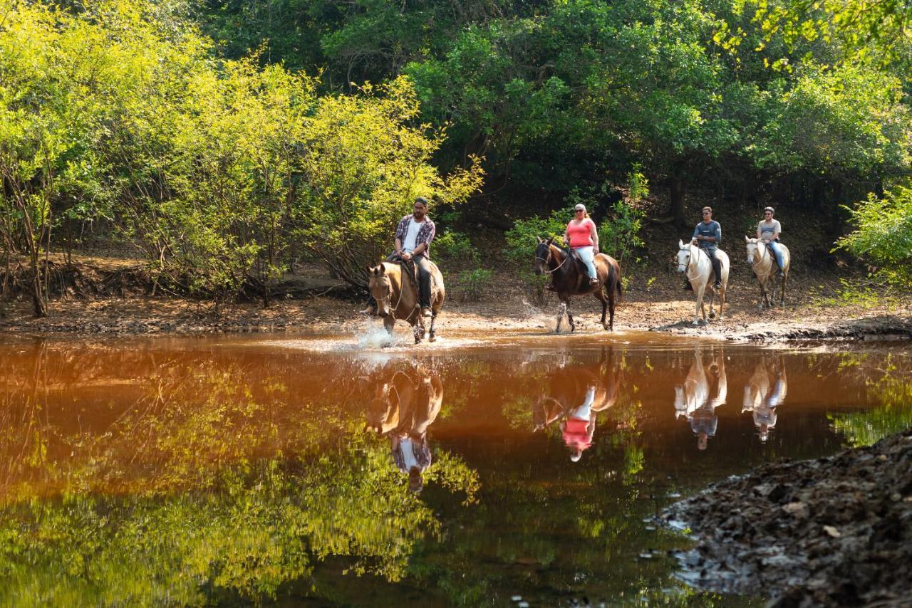 Pousada Fazenda Xaraes Hotell Todos os Santos Exteriör bild