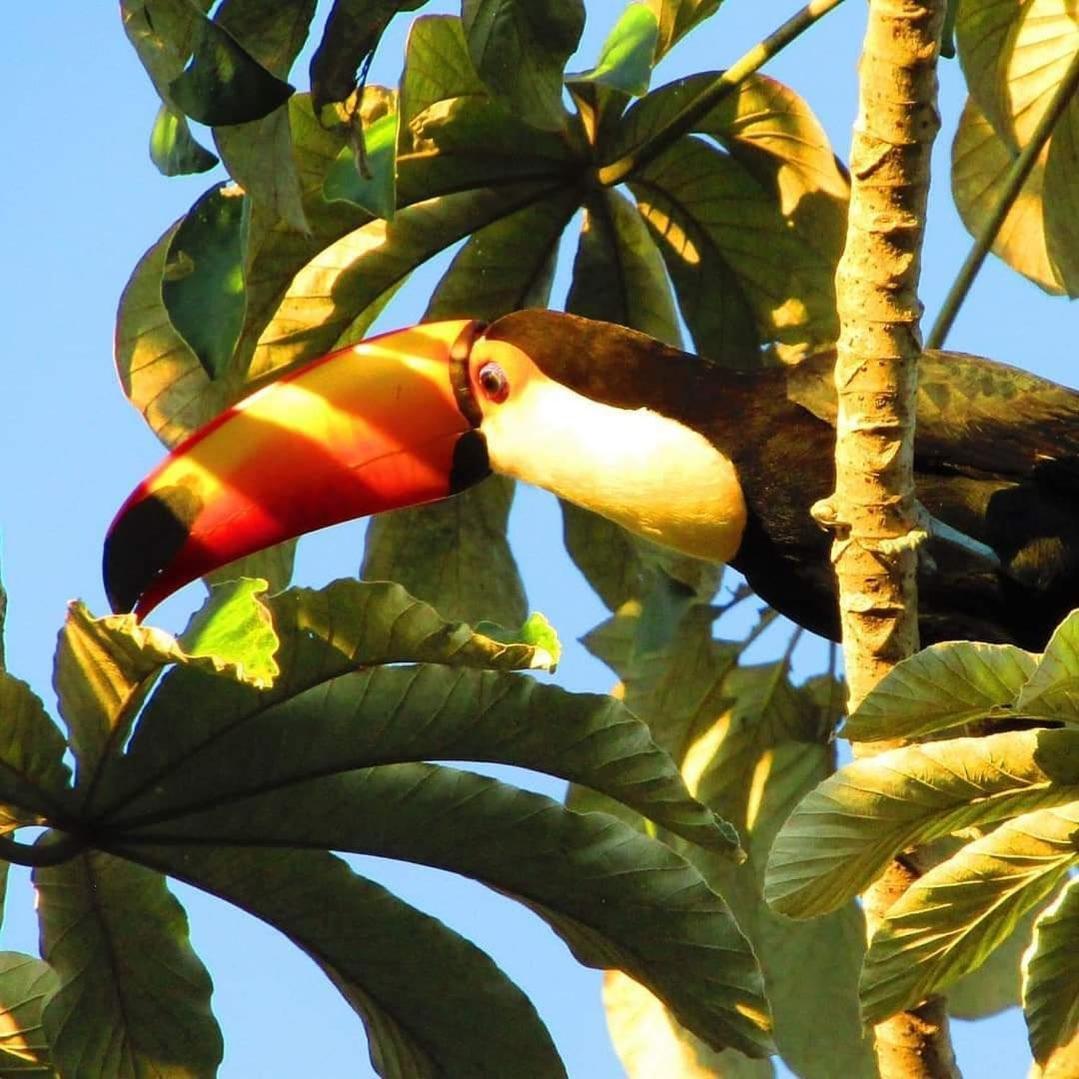 Pousada Fazenda Xaraes Todos os Santos Exteriör bild