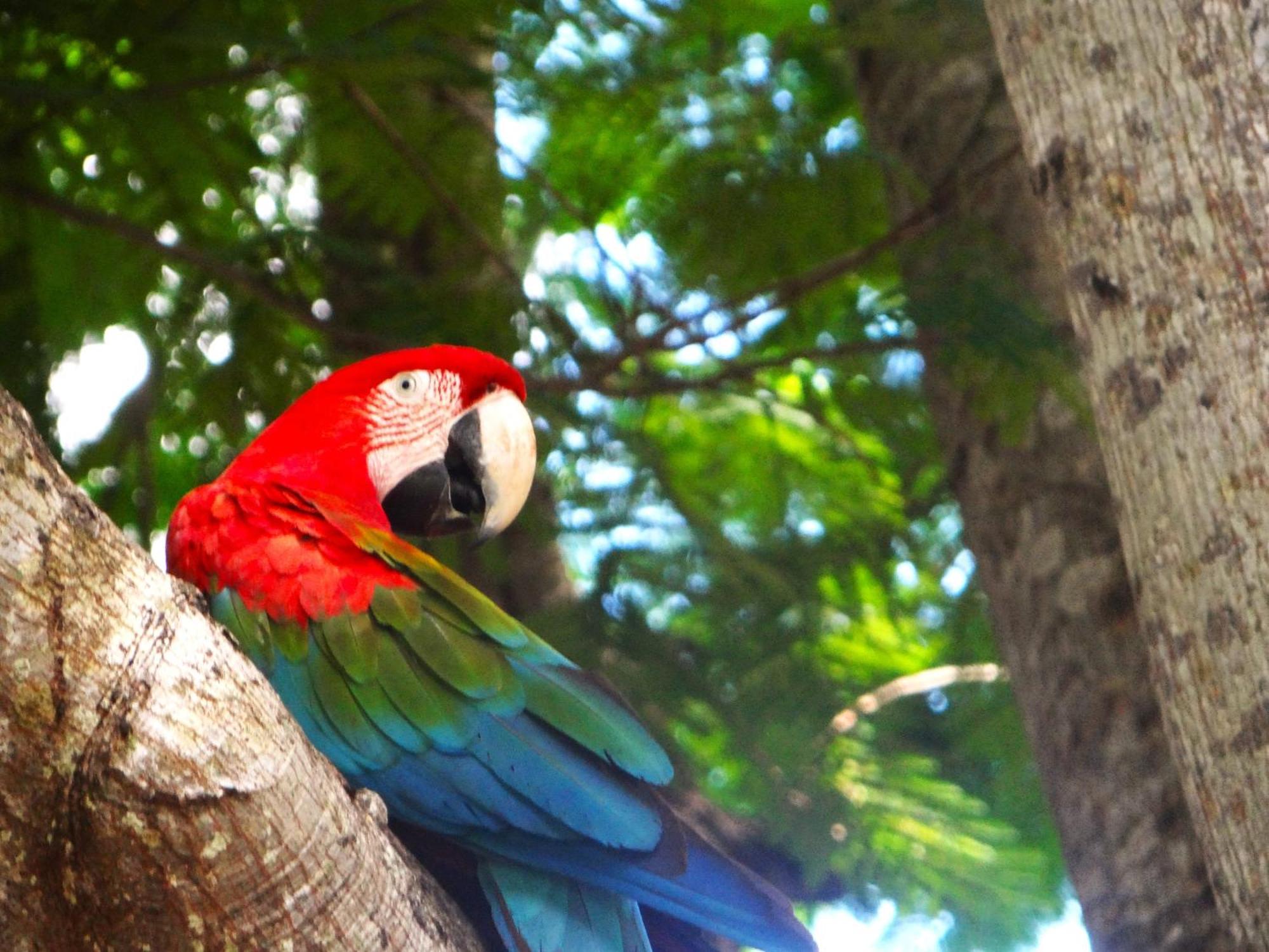 Pousada Fazenda Xaraes Todos os Santos Exteriör bild