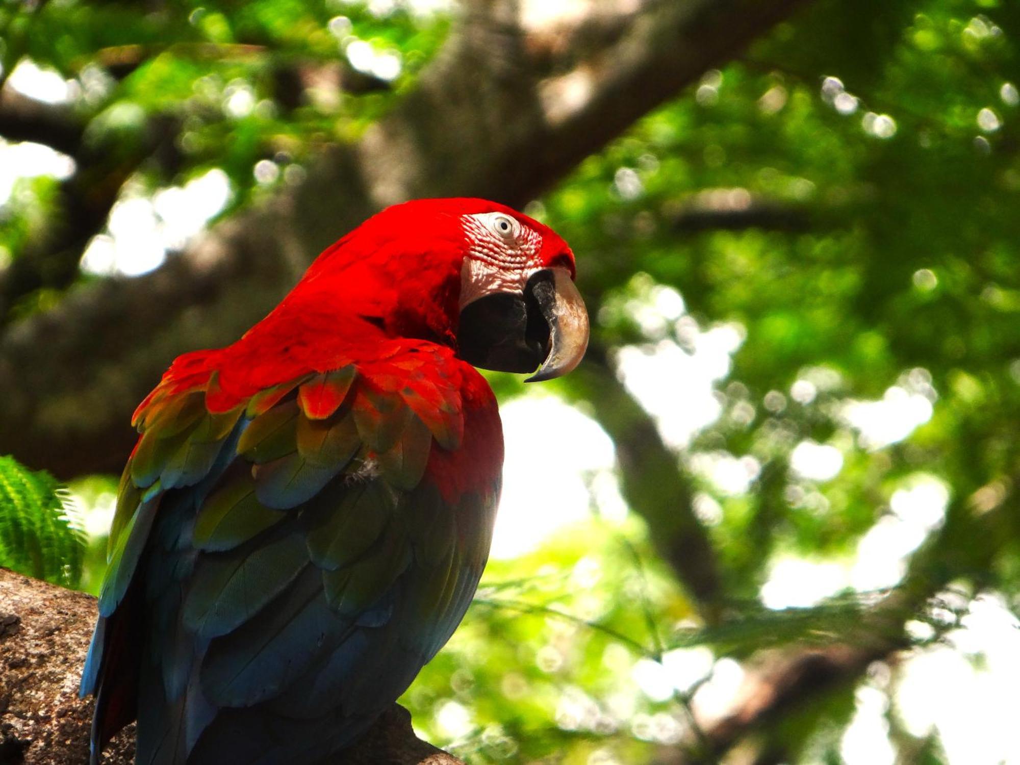 Pousada Fazenda Xaraes Hotell Todos os Santos Exteriör bild