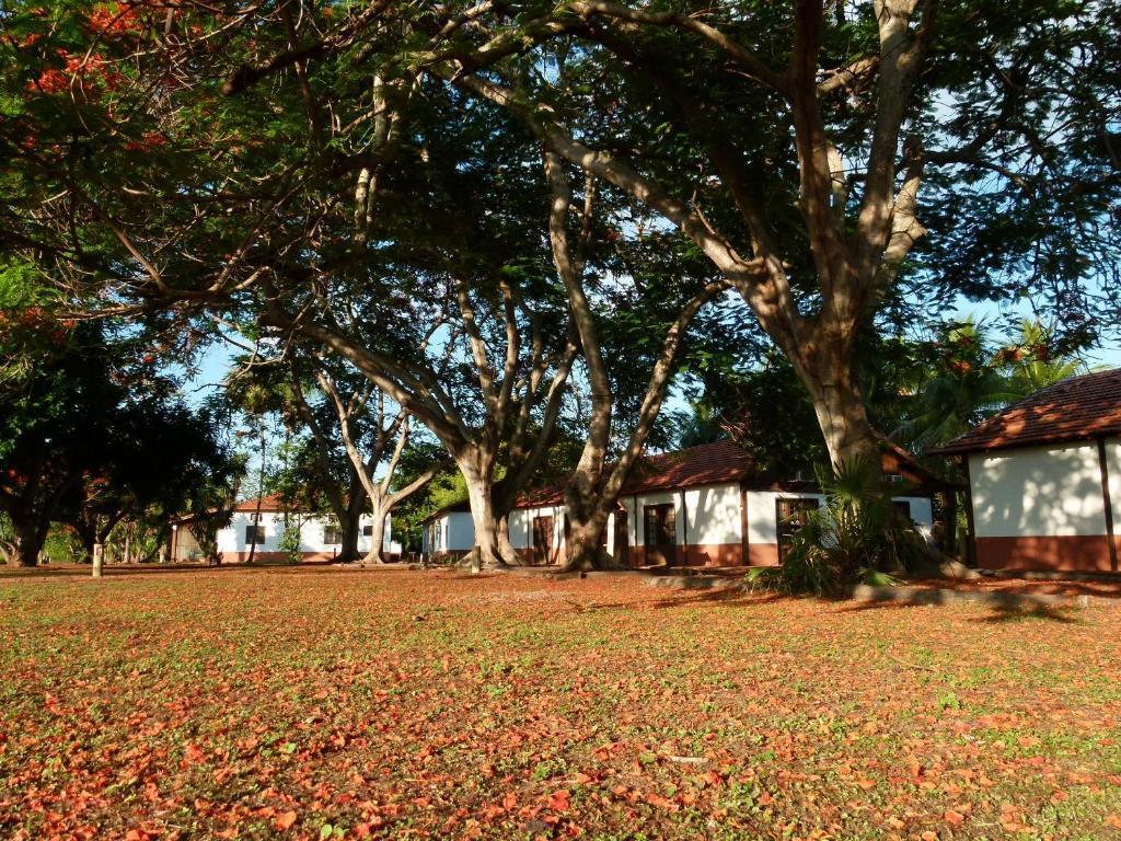 Pousada Fazenda Xaraes Hotell Todos os Santos Exteriör bild